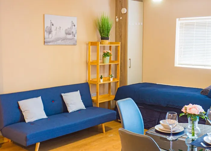 Cosy Flat Off Centre Appartement Dublin