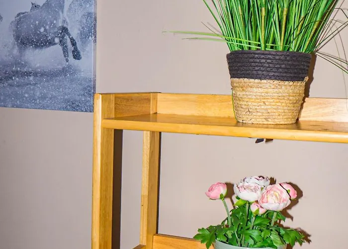 Cosy Flat Off Centre *