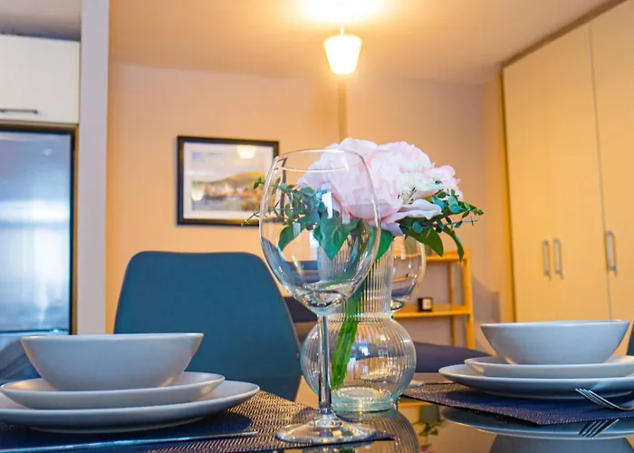 公寓 Cosy Flat Off Centre 都柏林