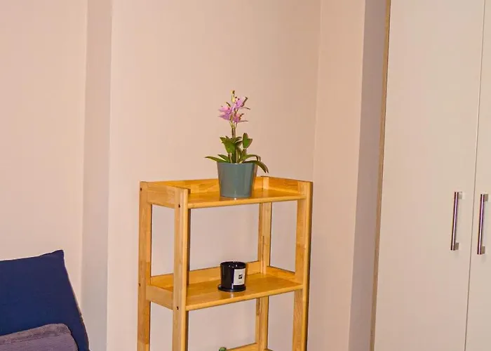 Cosy Flat Off Centre 公寓 都柏林