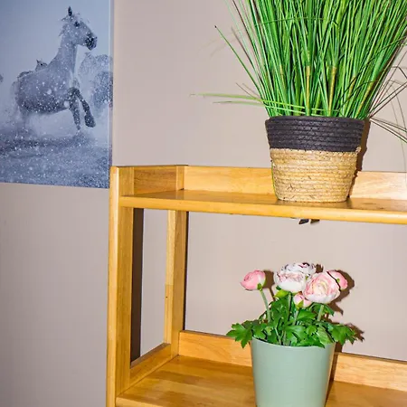 Cosy Flat Off Centre *