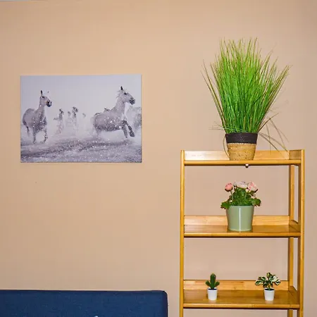 公寓 Cosy Flat Off Centre 都柏林